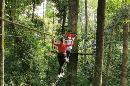 skytrex adventure melaka
